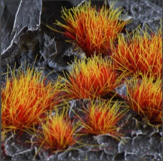 Gamer's Grass Alien Tufts Fire (6mm) 4 Gamer's Grass Alien Tufts Fire (6mm) - Afbeelding 2