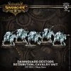 Privateer Press Retribution Dawnguard Destor Unit -wargaming Verkoop 550x550 107