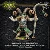 Privateer Press Orboros Brennos The Elderhorn (plastic) -wargaming Verkoop 550x550 150