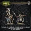 Privateer Press Orboros Wolves Master Of The Hunt And Totem Bearer 2 Privateer Press Orboros Wolves Master Of The Hunt And Totem Bearer -wargaming Verkoop 550x550 206