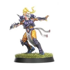 Games Workshop The Elfheim Eagles - Elven Union Blood Bowl Team -wargaming Verkoop 550x550 210