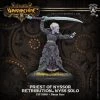 Privateer Press Retribution Priest Of Nyssor 1 Privateer Press Retribution Priest Of Nyssor -wargaming Verkoop 550x550 216