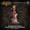 Privateer Press Protectorate Attendant Priest 2 Privateer Press Protectorate Attendant Priest -wargaming Verkoop 550x550 221