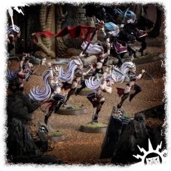 Games Workshop Warhammer Age Of Sigmar Daughters Of Khaine Witch Aelves -wargaming Verkoop 550x563 8