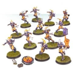 Games Workshop The Elfheim Eagles - Elven Union Blood Bowl Team -wargaming Verkoop 550x567 61