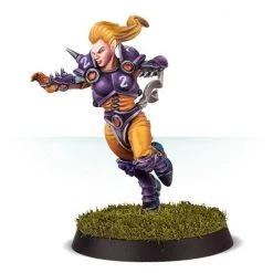 Games Workshop The Elfheim Eagles - Elven Union Blood Bowl Team -wargaming Verkoop 550x567 62
