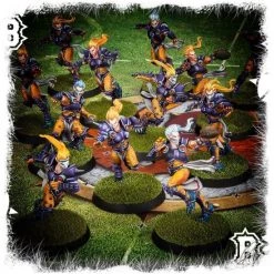 Games Workshop The Elfheim Eagles - Elven Union Blood Bowl Team -wargaming Verkoop 550x567 65