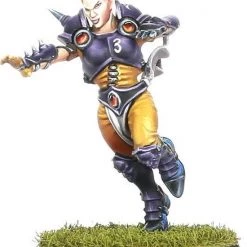 Games Workshop The Elfheim Eagles - Elven Union Blood Bowl Team -wargaming Verkoop 550x699 2