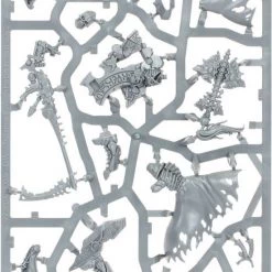Games Workshop AELDARI: MAUGAN RA -wargaming Verkoop 550x743 17