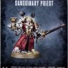 Games Workshop Blood Angels Sanguinary Priest -wargaming Verkoop 550x813 6